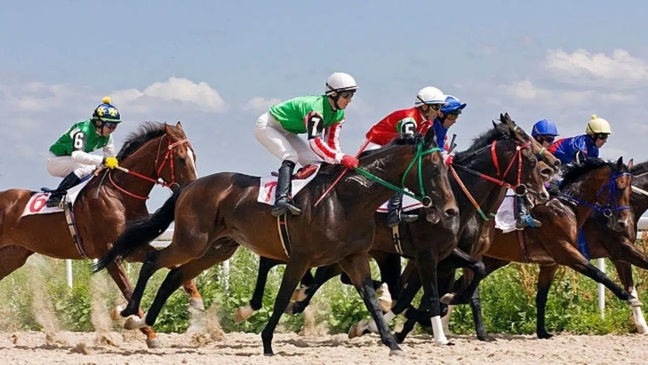 Panduan Bermain Judi Pacuan Kuda Online