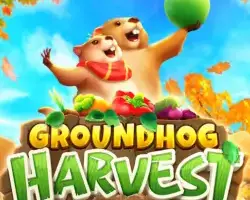 Groundhog Harvest